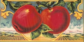 Two apples